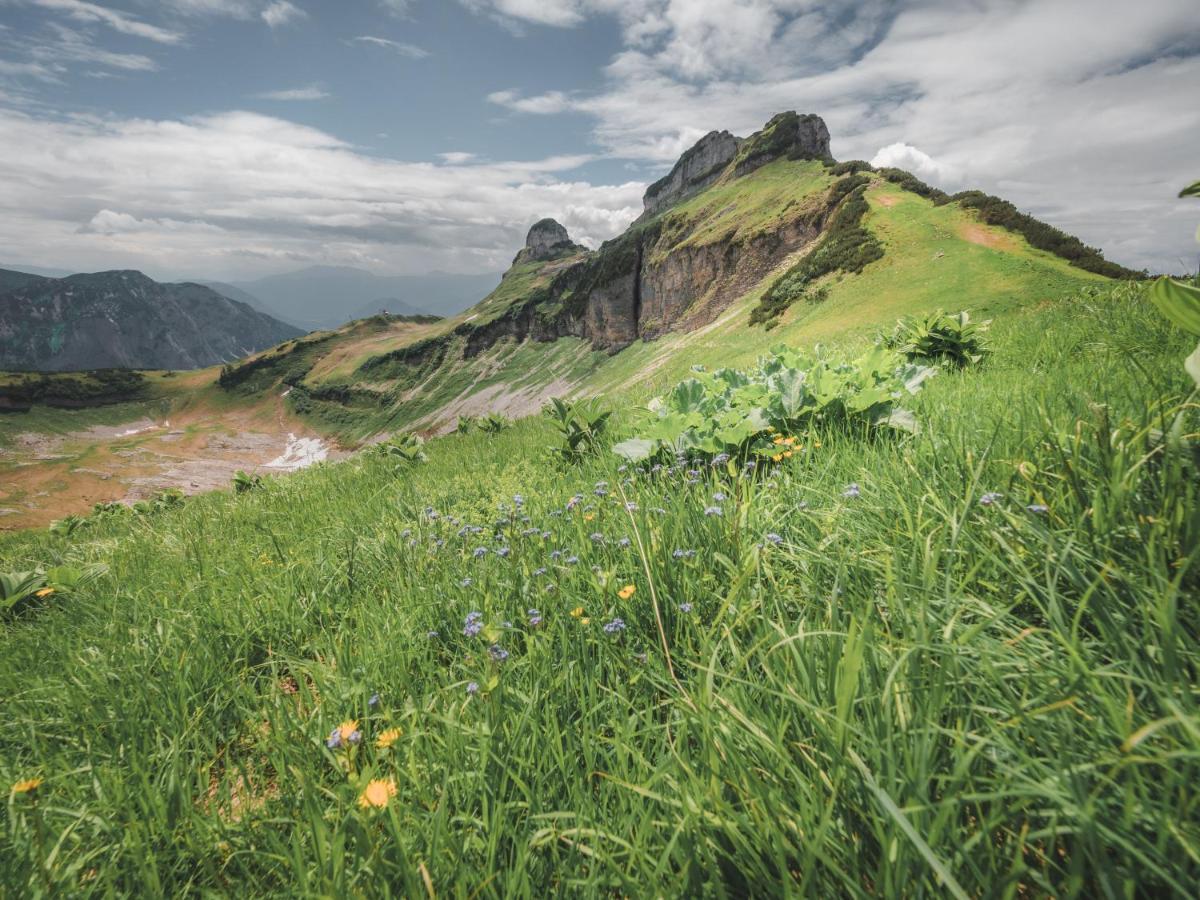 Alpenglueck Tauplitz Apartment Екстериор снимка