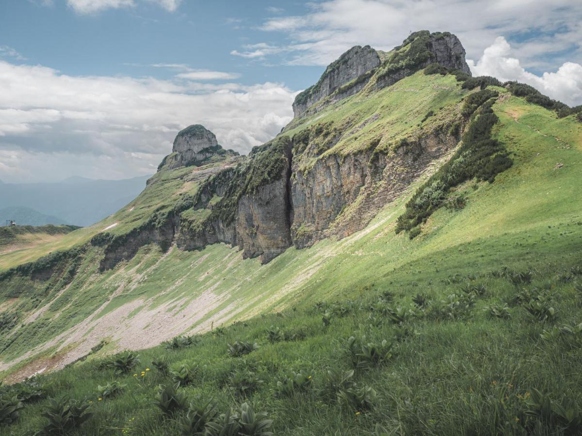 Alpenglueck Tauplitz Apartment Екстериор снимка